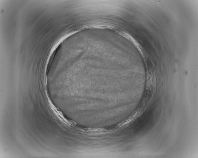 X0000085810795200704091605