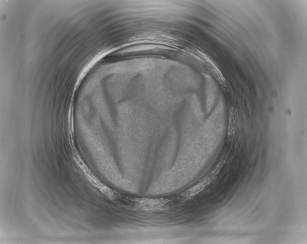 X0000085810796200704091605