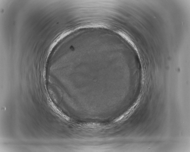 X0000085810797200704091605