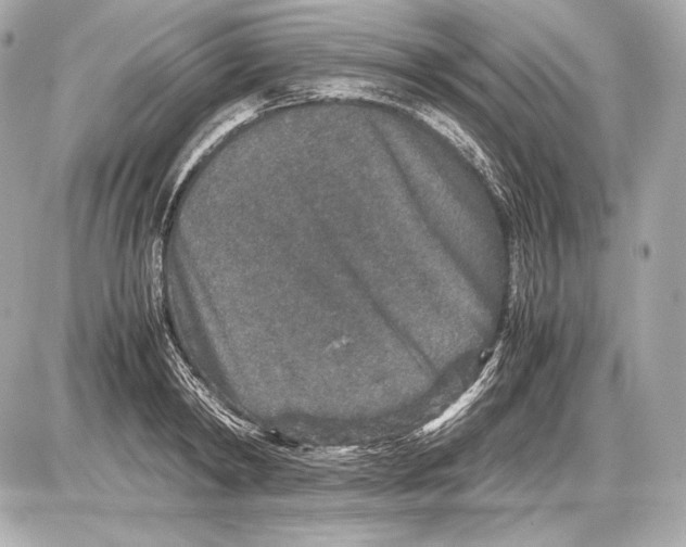 X0000085810798200704091605