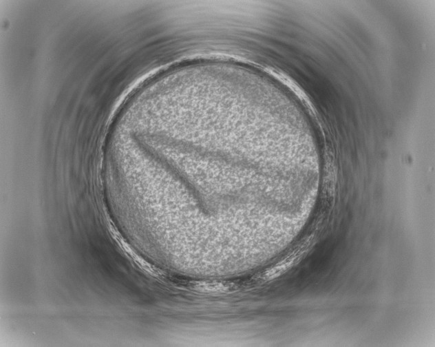 X0000085810799200704091605