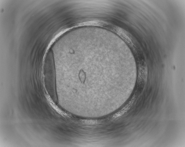 X0000085810800200704091605