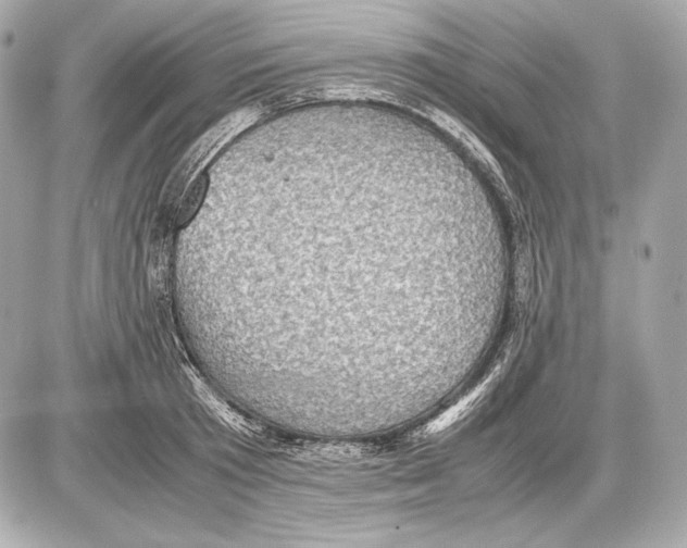 X0000085810801200704091605