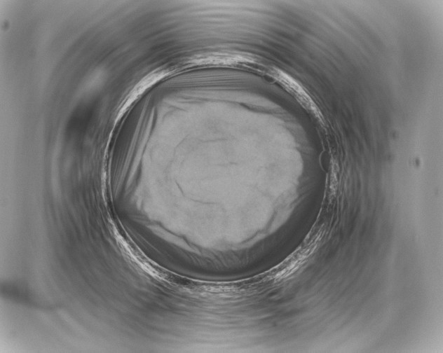 X0000085810802200704091605