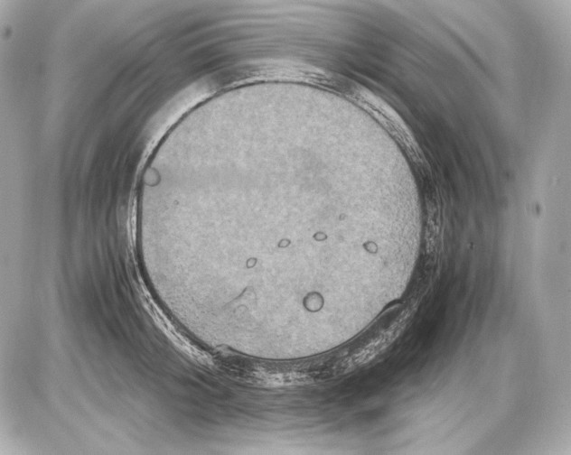 X0000085810804200704091605