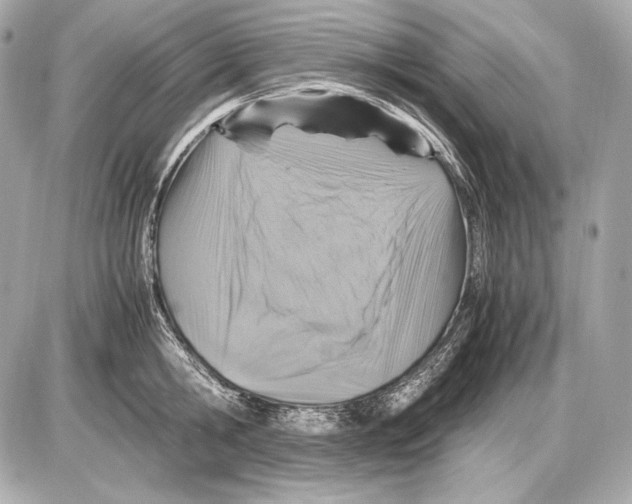 X0000085810806200704091605