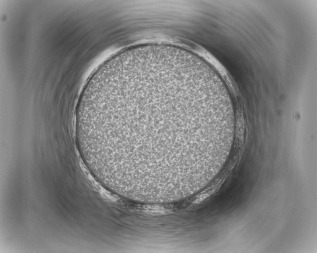 X0000085810807200704091605