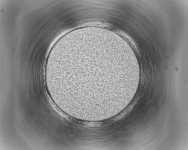 X0000085810808200704091605