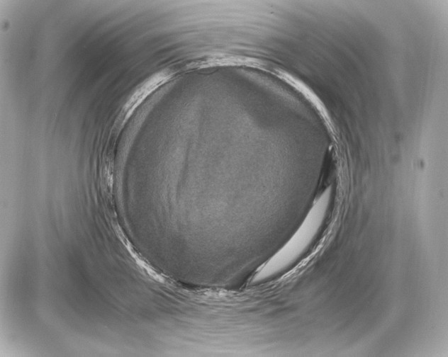 X0000085810809200704091605