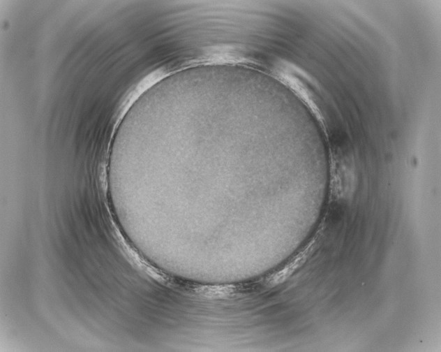 X0000085810810200704091605