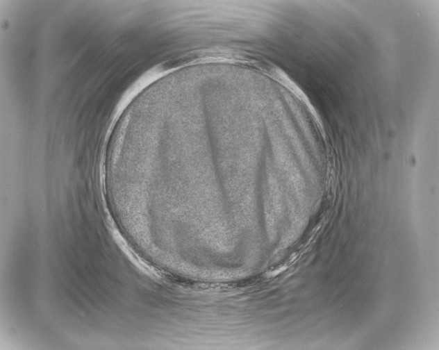 X0000085810811200704091605