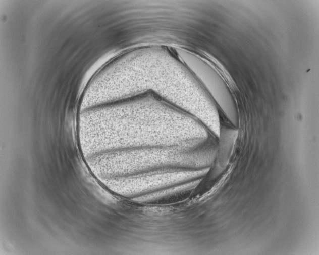 X0000085810812200704091605