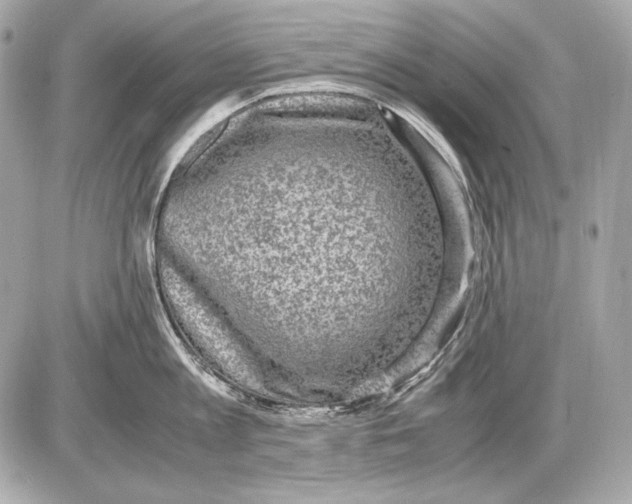 X0000085810813200704091605