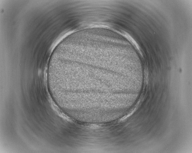 X0000085810814200704091605