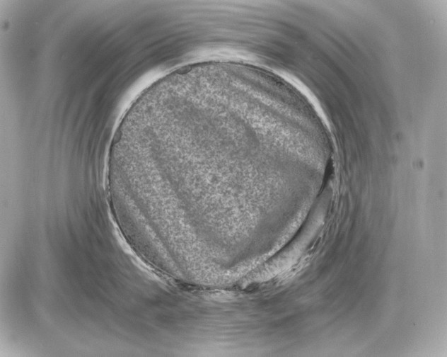 X0000085810815200704091605