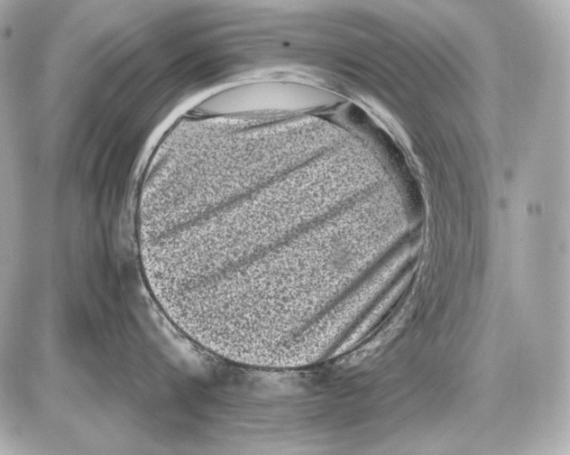 X0000085810816200704091605