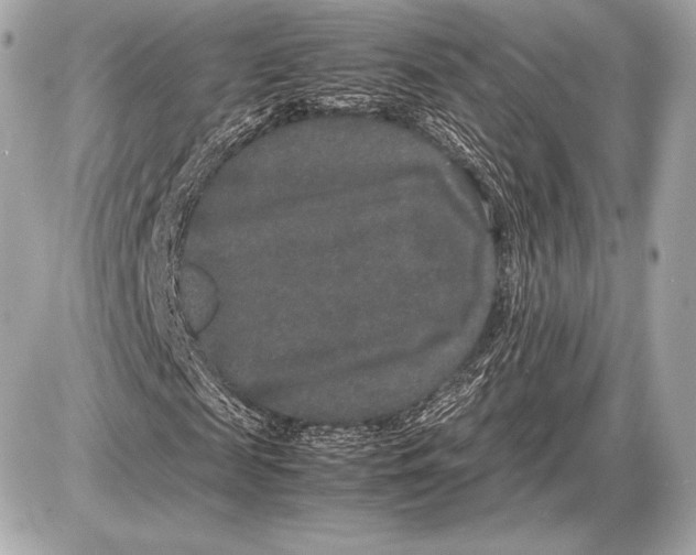 X0000085810817200704091604