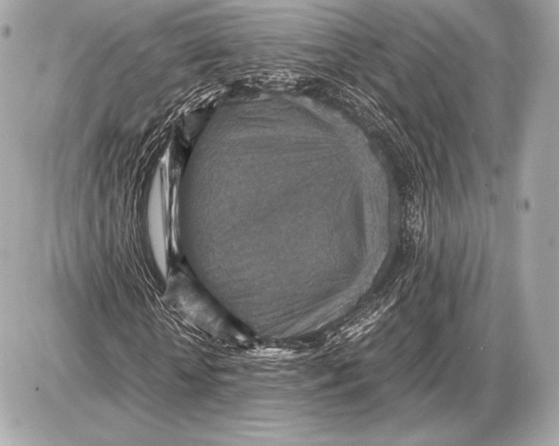 X0000085810818200704091604