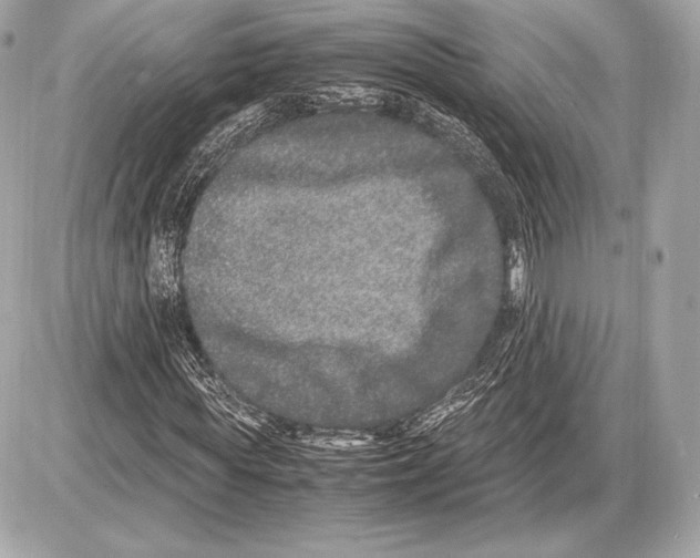 X0000085810819200704091604