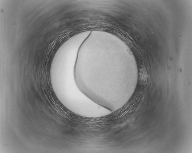 X0000085810820200704091604