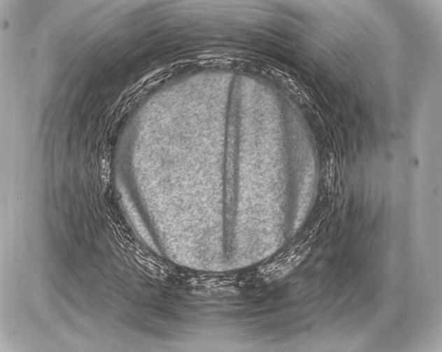 X0000085810821200704091604