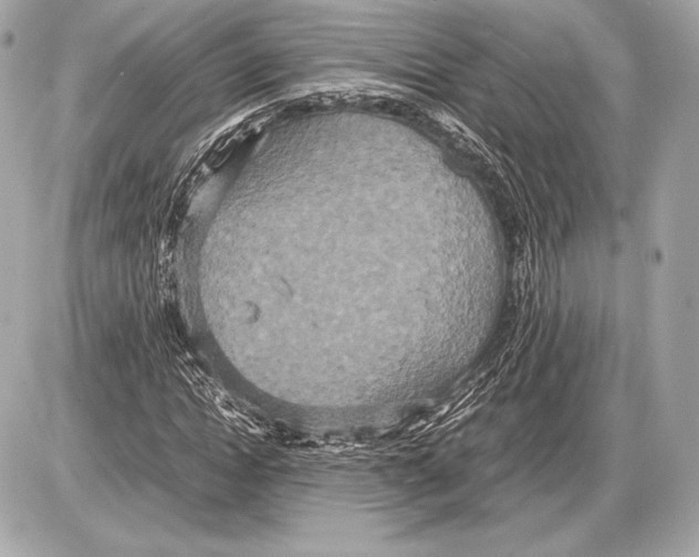 X0000085810822200704091604