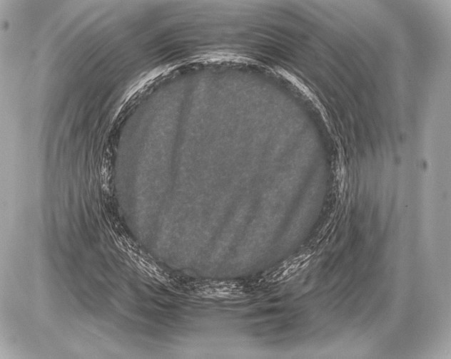 X0000085810823200704091604