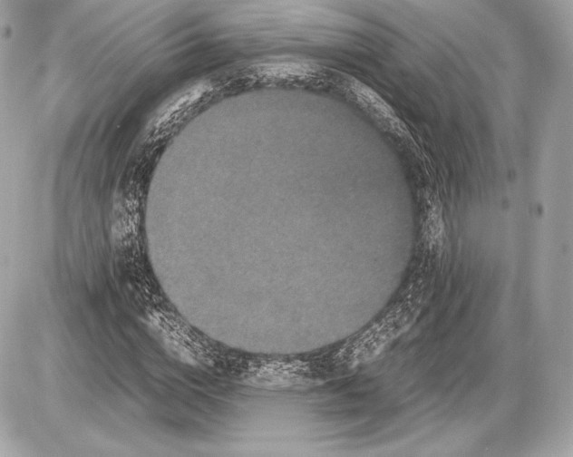 X0000085810824200704091604