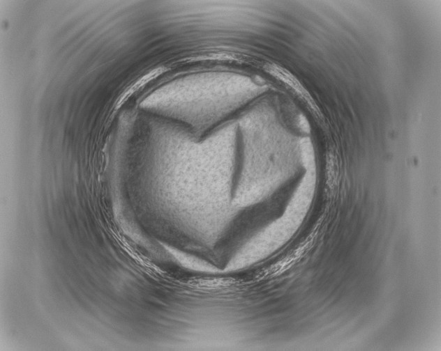 X0000085810826200704091604