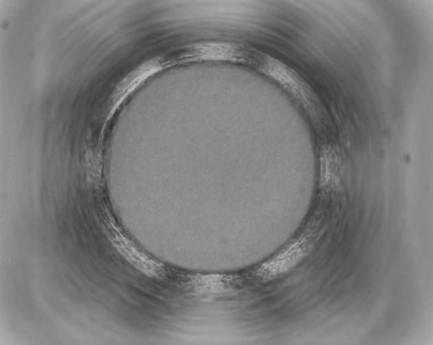 X0000085810828200704091604