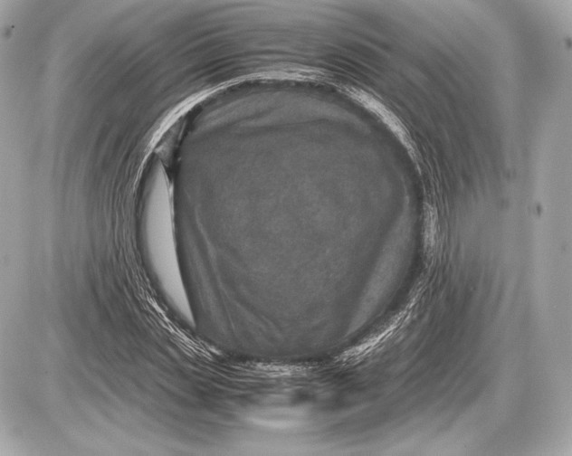 X0000085810829200704091604