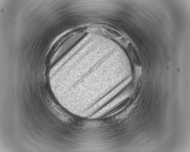 X0000085810830200704091604