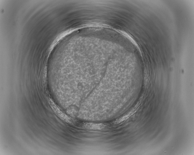 X0000085810831200704091604