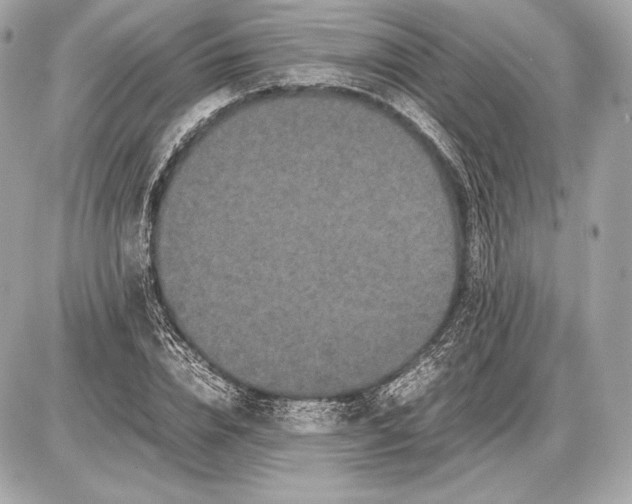 X0000085810832200704091604