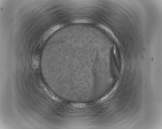 X0000085810833200704091604