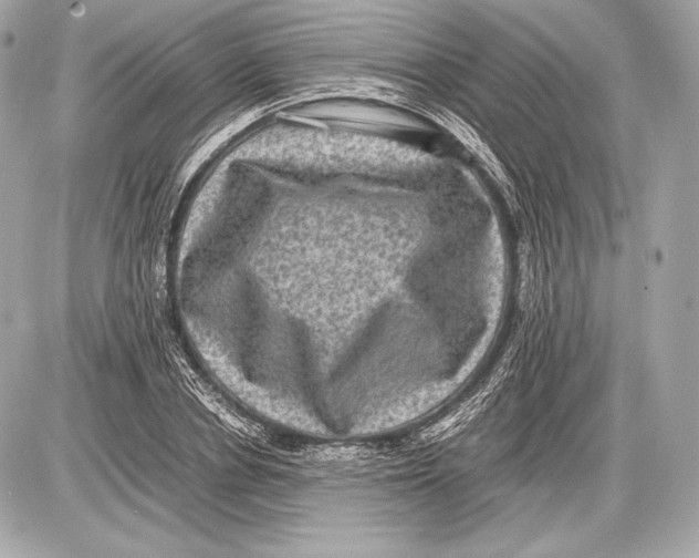 X0000085810834200704091604