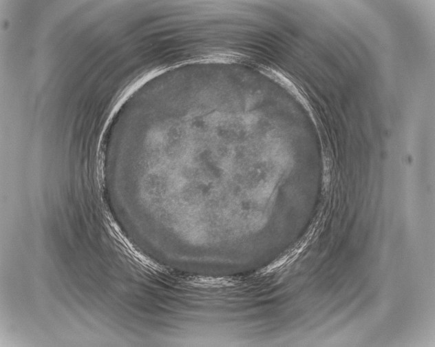 X0000085810835200704091604