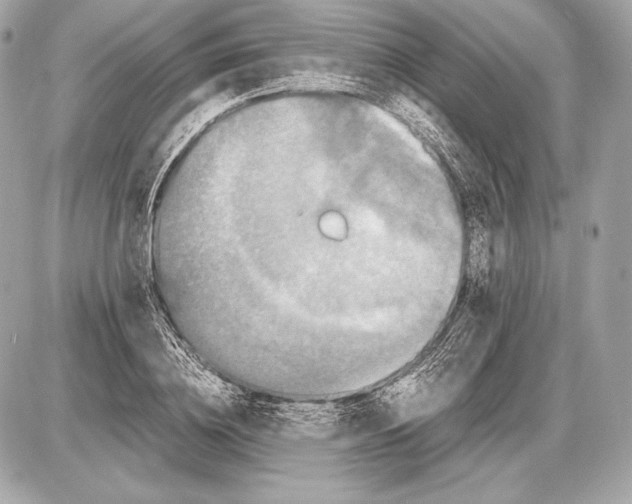 X0000085810836200704091604