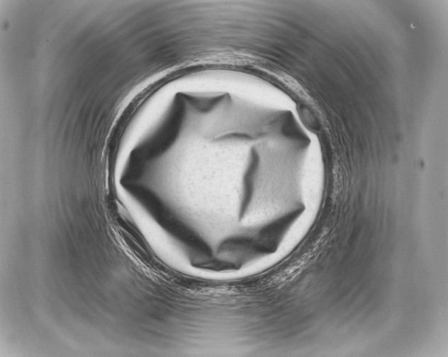 X0000085810838200704091604