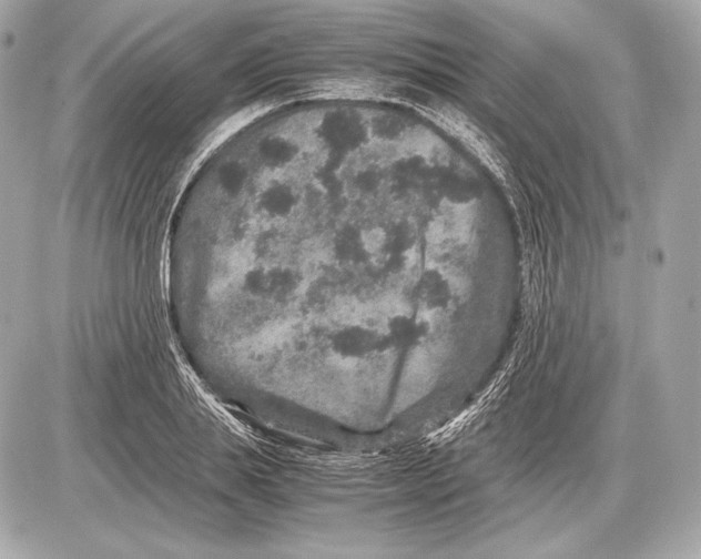 X0000085810839200704091604