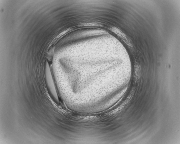 X0000085810841200704091604