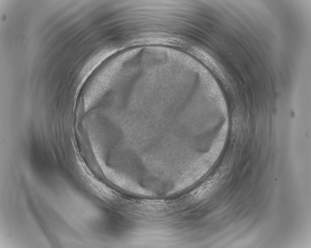 X0000085810844200704091605