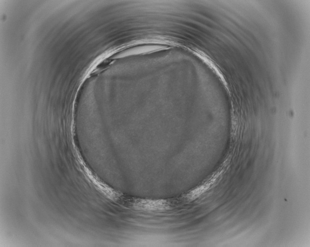 X0000085810845200704091605