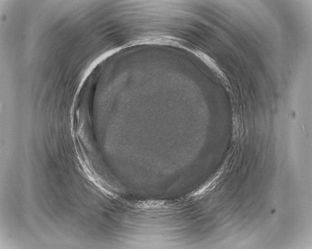 X0000085810846200704091605