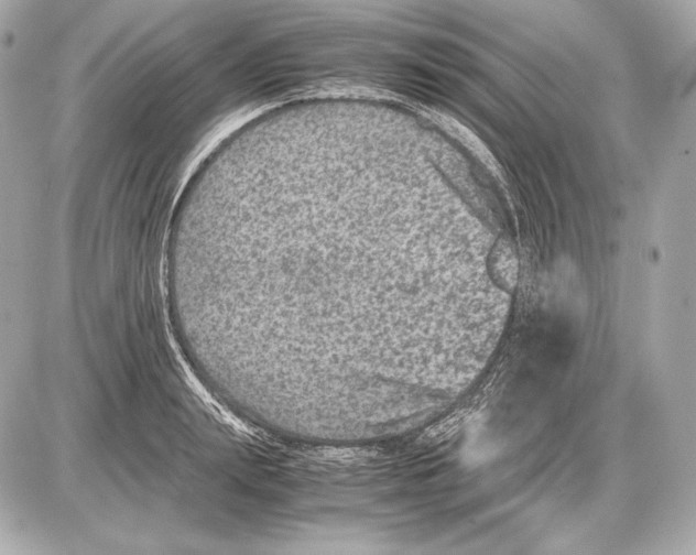 X0000085810847200704091605