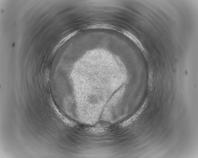 X0000085810849200704091605