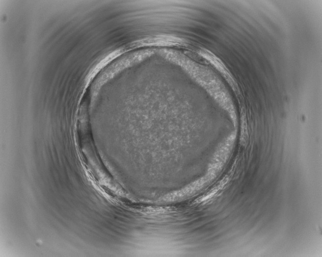 X0000085810850200704091605