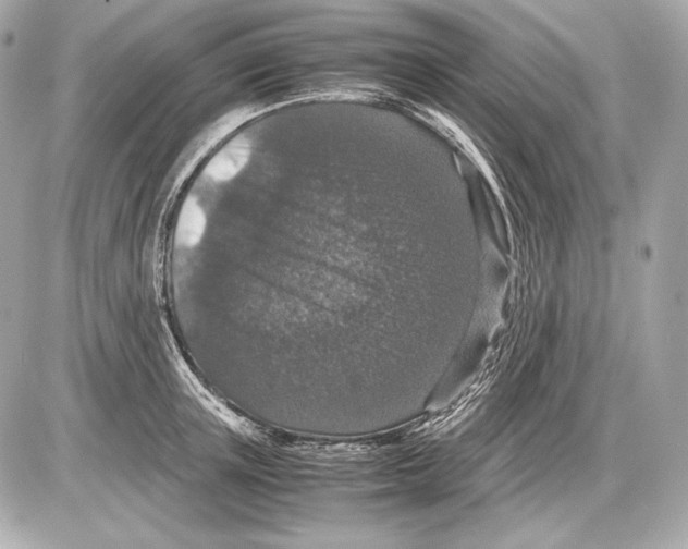 X0000085810851200704091605