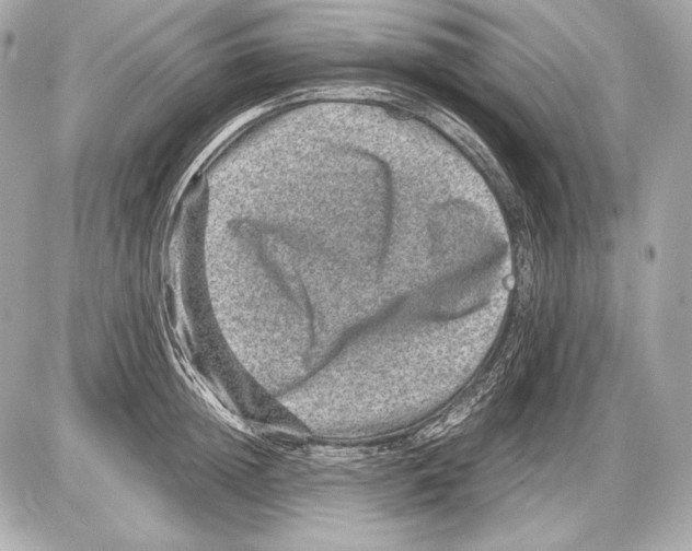 X0000085810852200704091605