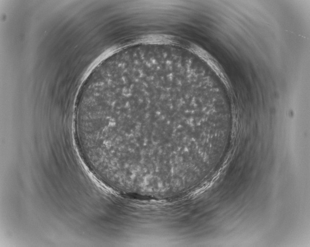 X0000085810853200704091605